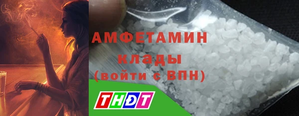 молекула духа Медвежьегорск