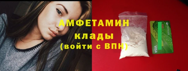 молекула духа Медвежьегорск