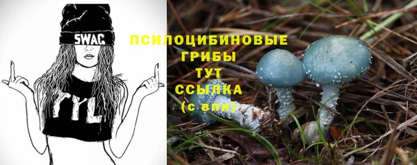 молекула духа Медвежьегорск