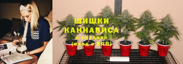 молекула духа Медвежьегорск