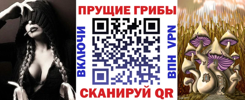 Псилоцибиновые грибы Cubensis  blacksprut ссылки  Власиха 